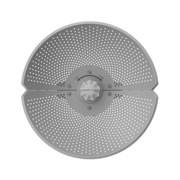 RG-AirMetro460G